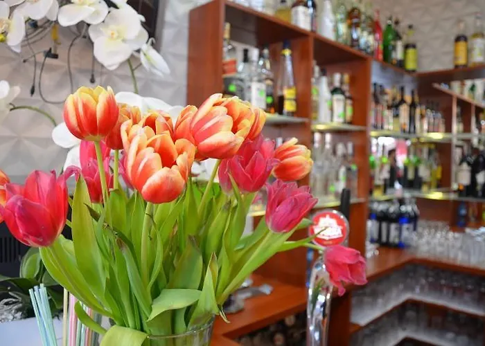 בית הארחה U Renaty *